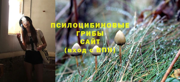 ГАЛЛЮЦИНОГЕННЫЕ ГРИБЫ Снежногорск