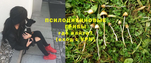 эйфоретик Слюдянка