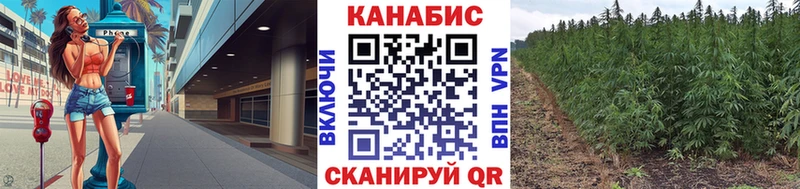 Канабис семена  Купить  Ивангород 